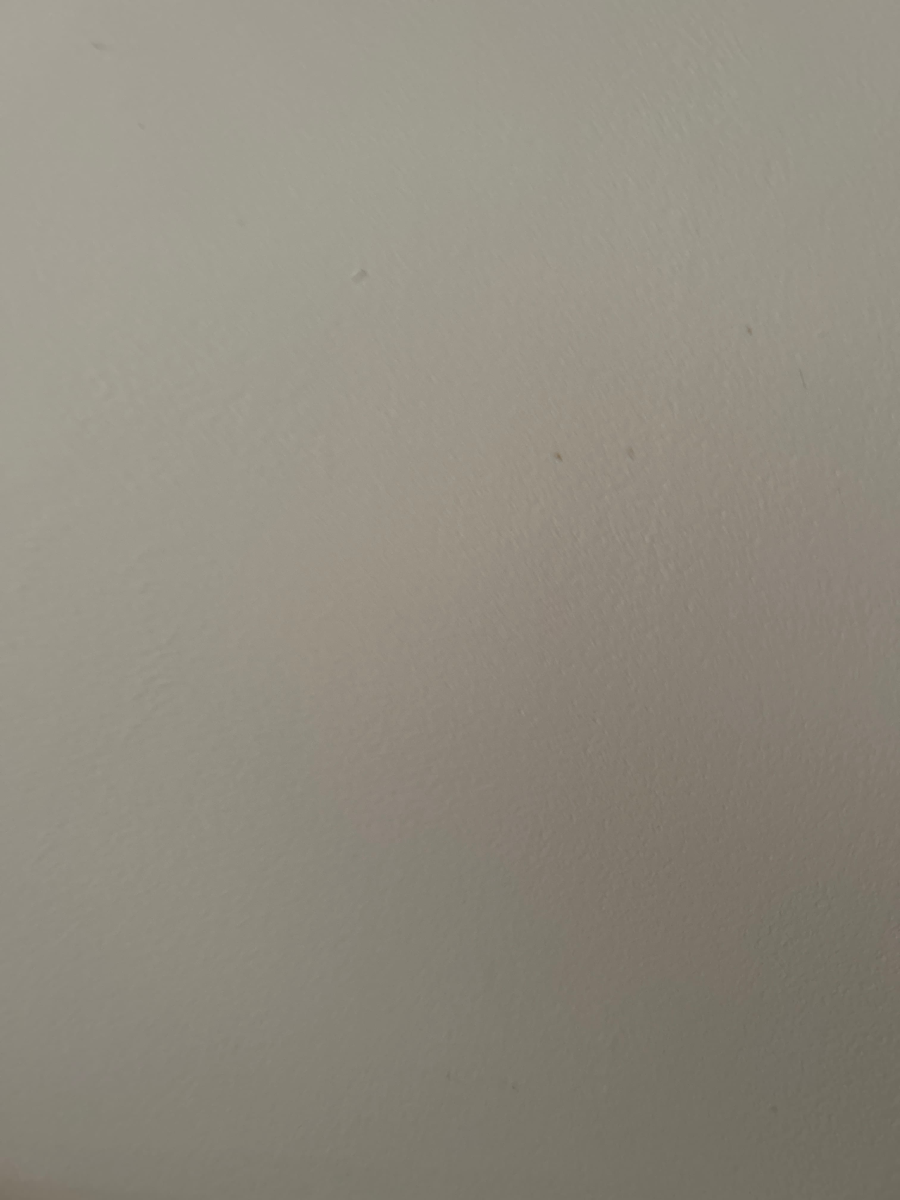 Pull Blanc « Test » 1